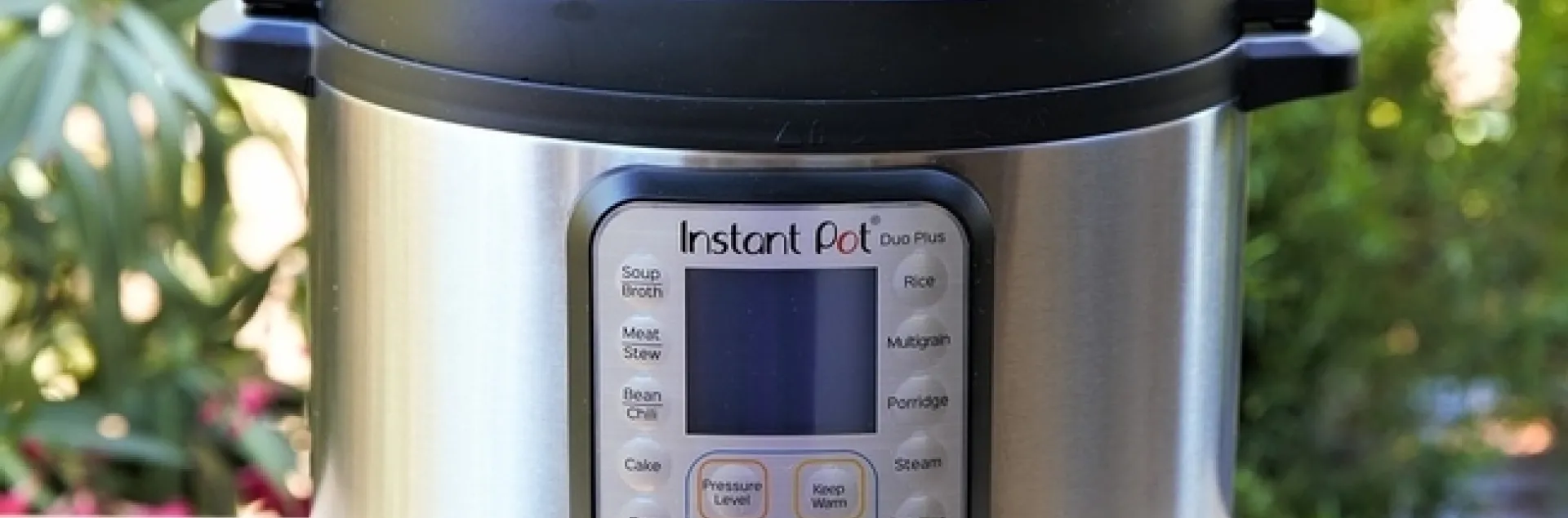 Una típica olla de presión eléctrica. (Fotografía: Max Pixel)