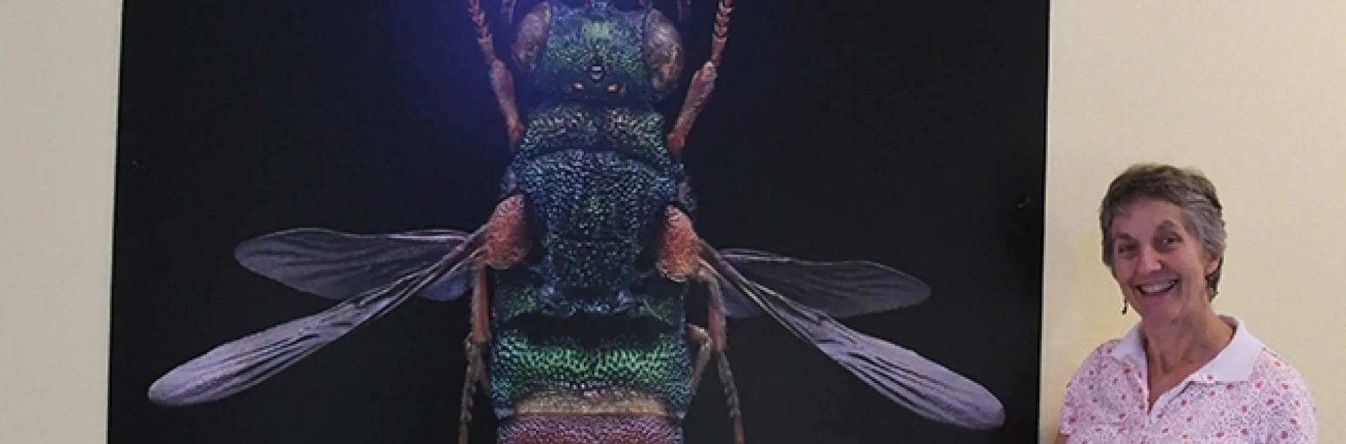 Lynn Kimsey, director of the Bohart Museum of Entomology, welcomes the new addition, a microsculpture of a ruby-tailed wasp by Levon Biss of London. (Photo by Kathy Keatley Garvey)