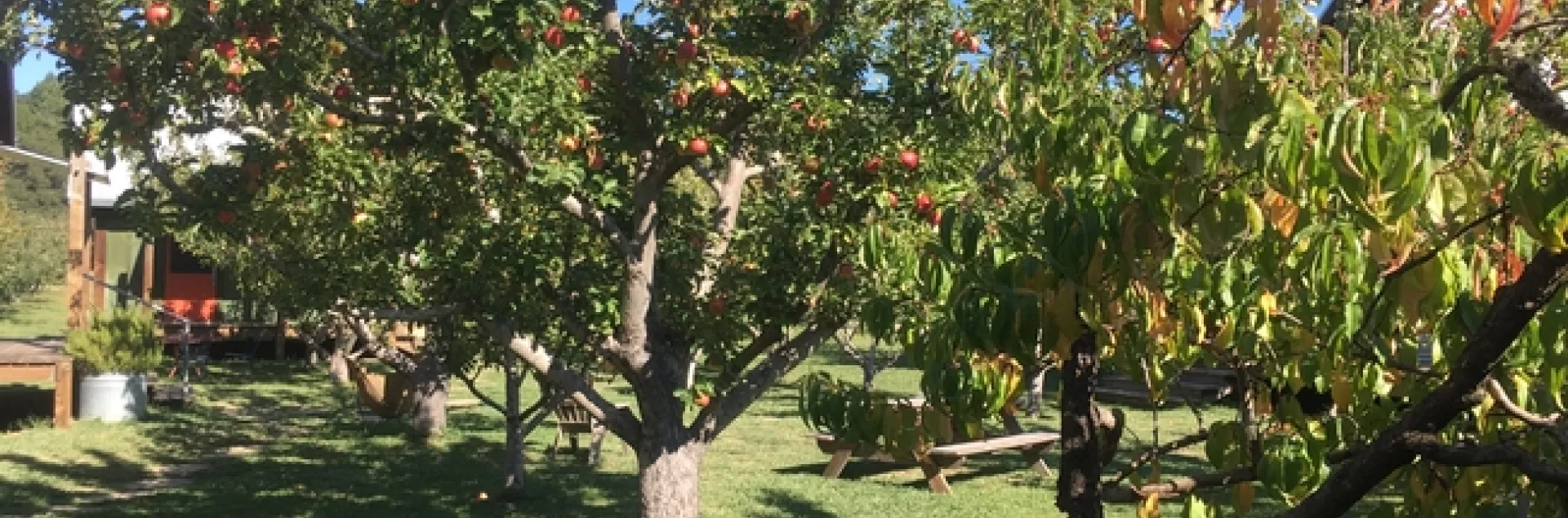 photos by Michelle Davis