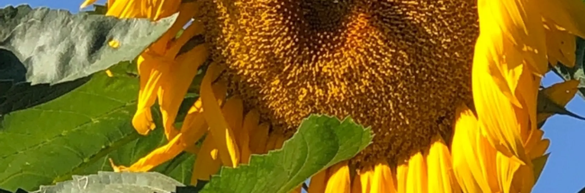 photos by Erin Mahaney