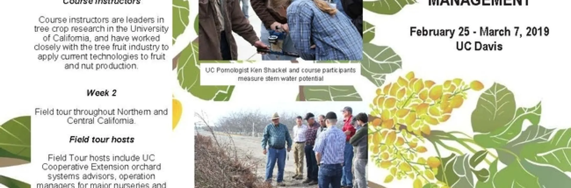 fruit tree class Page 1