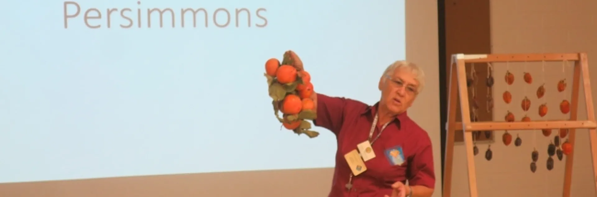 Persimmon cultural practices lecture.