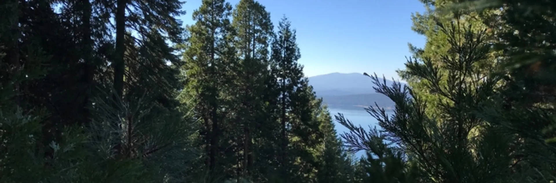 Mark B. still had a great view in Almanor this past weekend