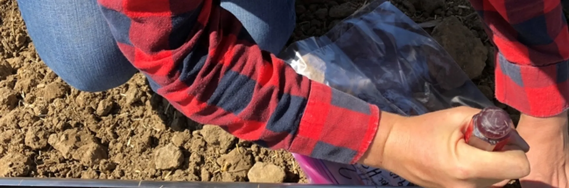 Soil sampling