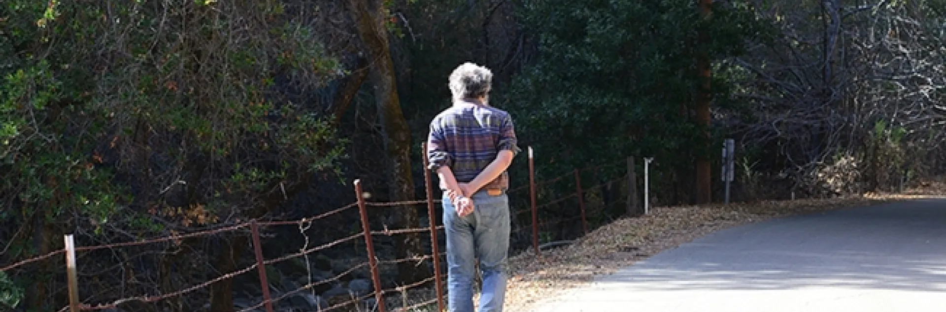 Art Shapiro, distinguished professor of evolution and ecology at UC Davis, walks along one of his study areas, Gates Canyon Road, Vacaville. This image was taken Jan. 25, 2014. (Photo by Kathy Keatley Garvey)