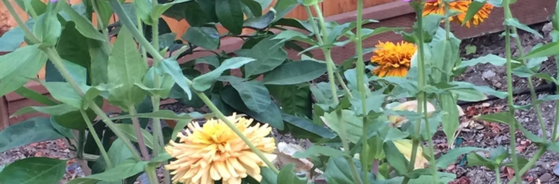 photos by Martha White