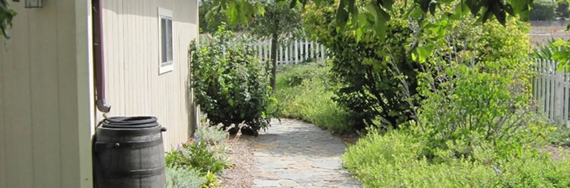 Redirecting runoff with a gutter downspout.