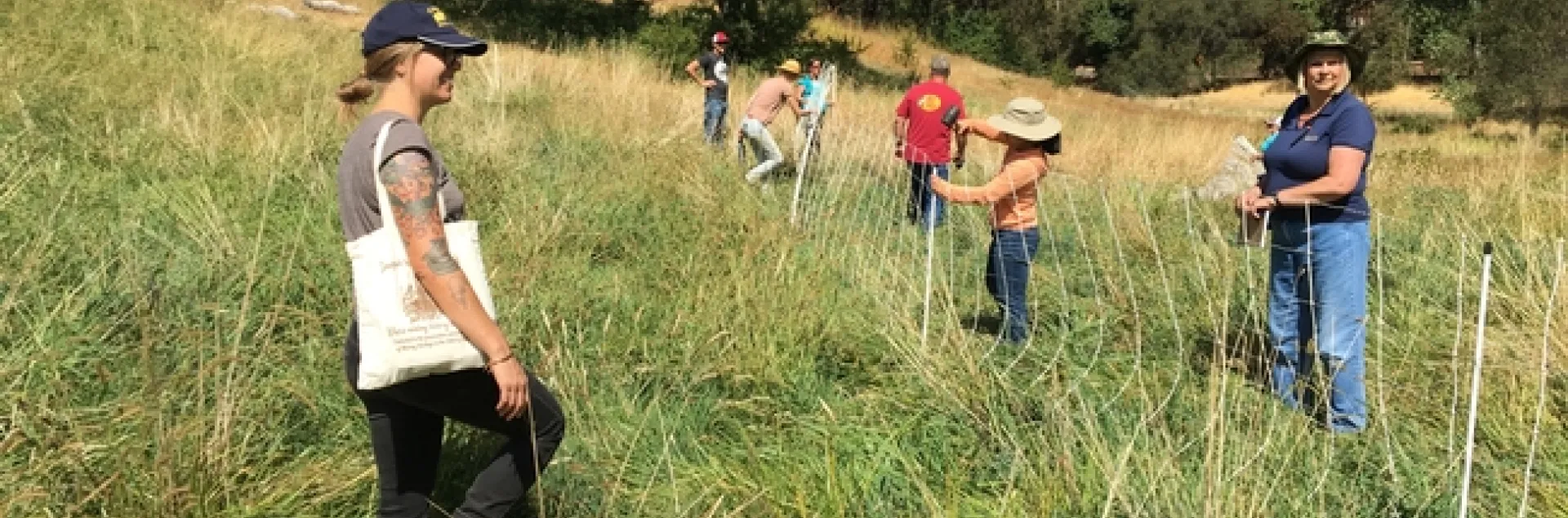Grazing workshop students putting up temporary electric fence netting.