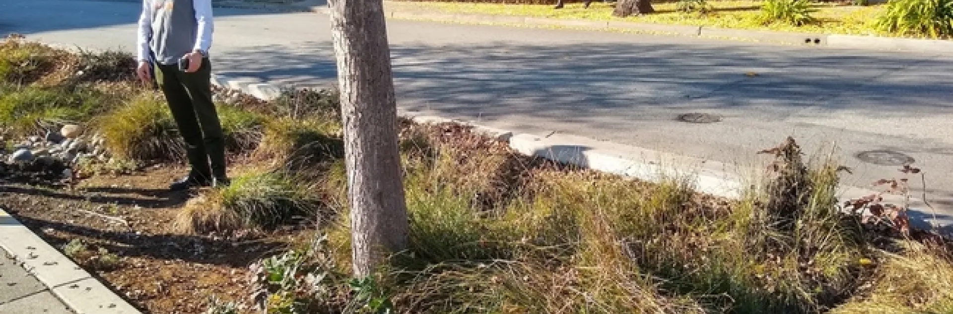 Igor shares groundbreaking research to incorporate trees into city bioswales