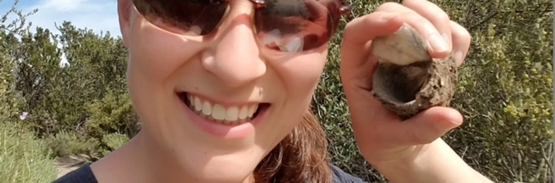 UC Davis doctoral student Rebecca Godwin holds the excavated burrow of the California trapdoor spider, Bothriocyrtum californicum, that she found in Chula Vista, in San Diego.