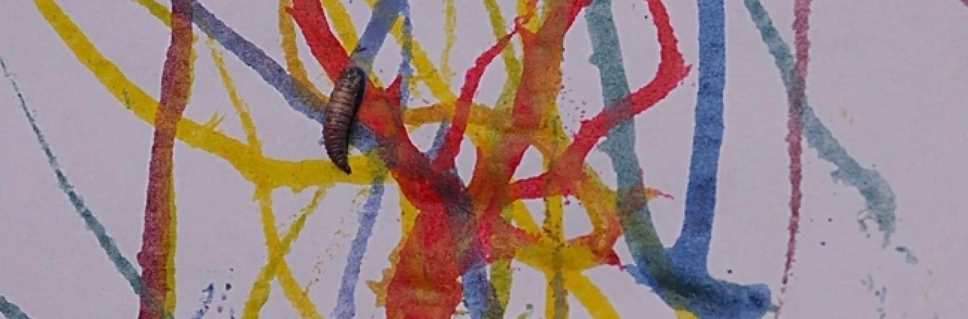 This maggot art is the work of entomologist-artist Diane Ullman, professor of entomology at UC Davis and former chair of the department. She served as the co-founding director of the UC Davis Art/Science Fusion Program. (Photo by Kathy Keatley Garvey)