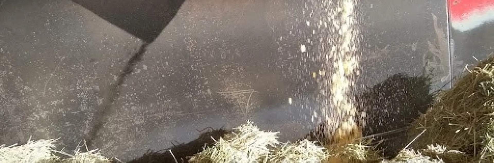 Adding corn to hay before baling