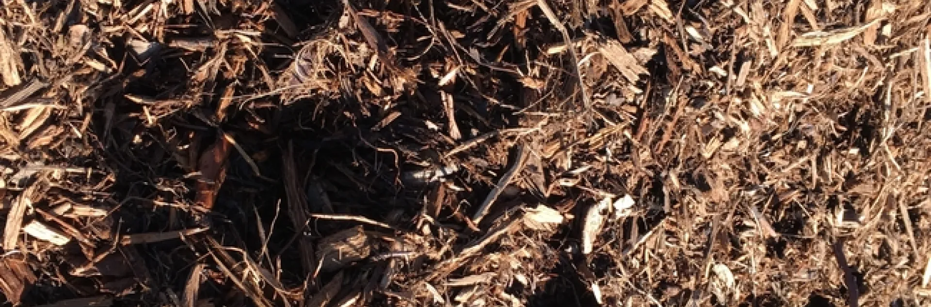 euc and a bit of scrap