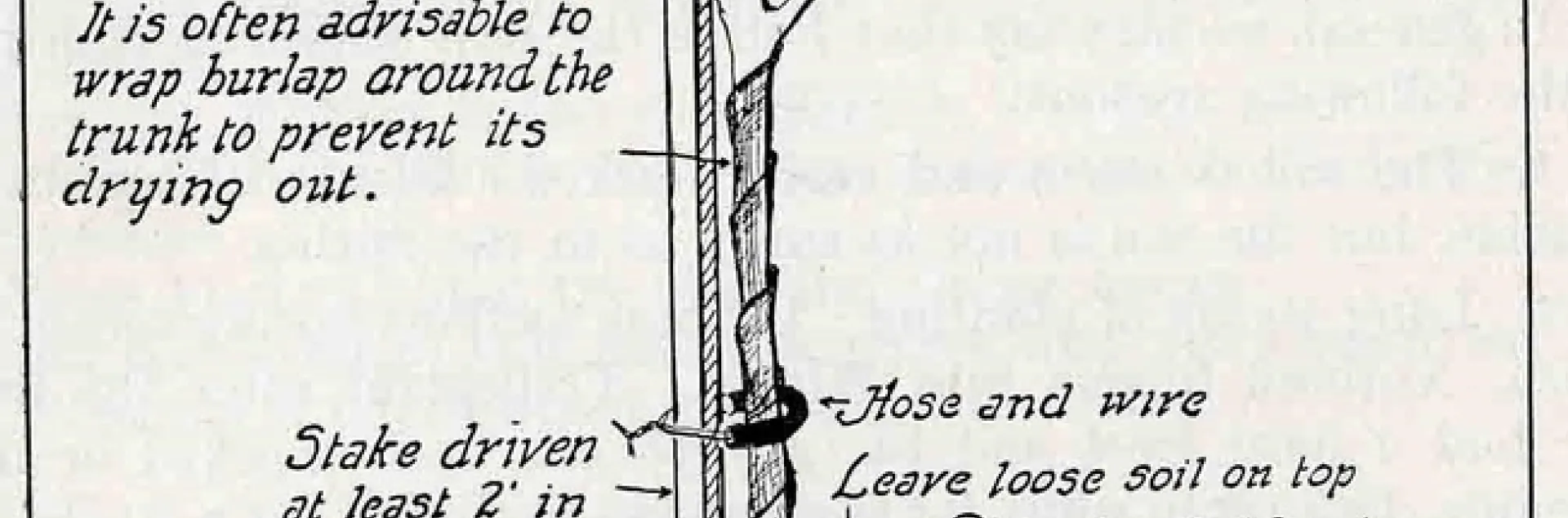 planting diagram gravel