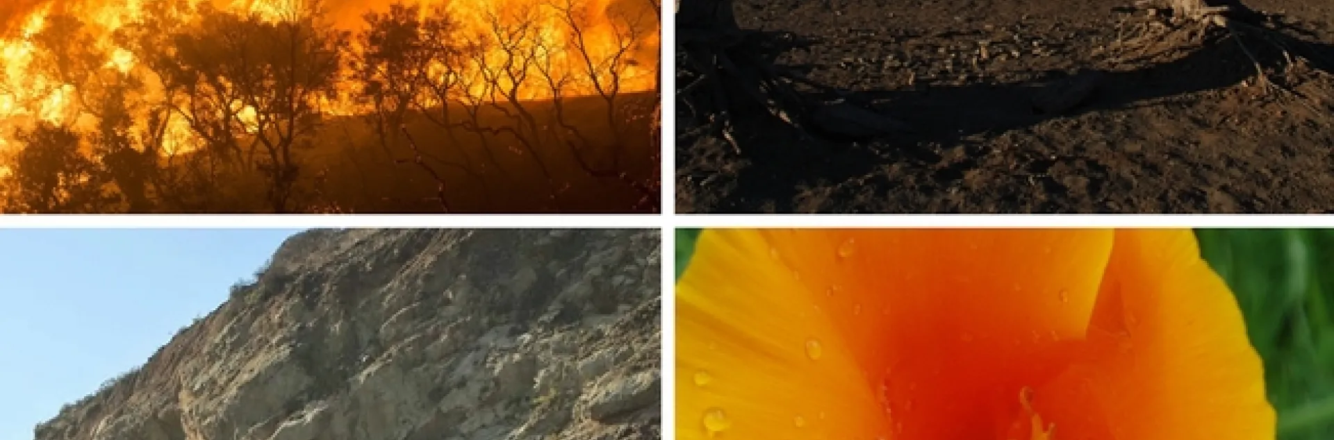 California's four seasons are fire, flood, mud and drought.