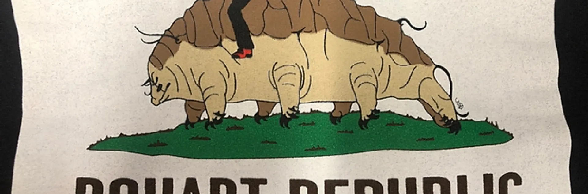 This is the back of the tardigrade hoodie, "The Bohart Republic" water bear flag. It's available in the gift shop at the Bohart Museum of Entomology. The art, reminiscent of the California Bear Flag, is by Charlotte Herbert Alberts, an entomology doctoral student. The Bohart has its own bear "water bear" flag! (Photo by Fran Keller)