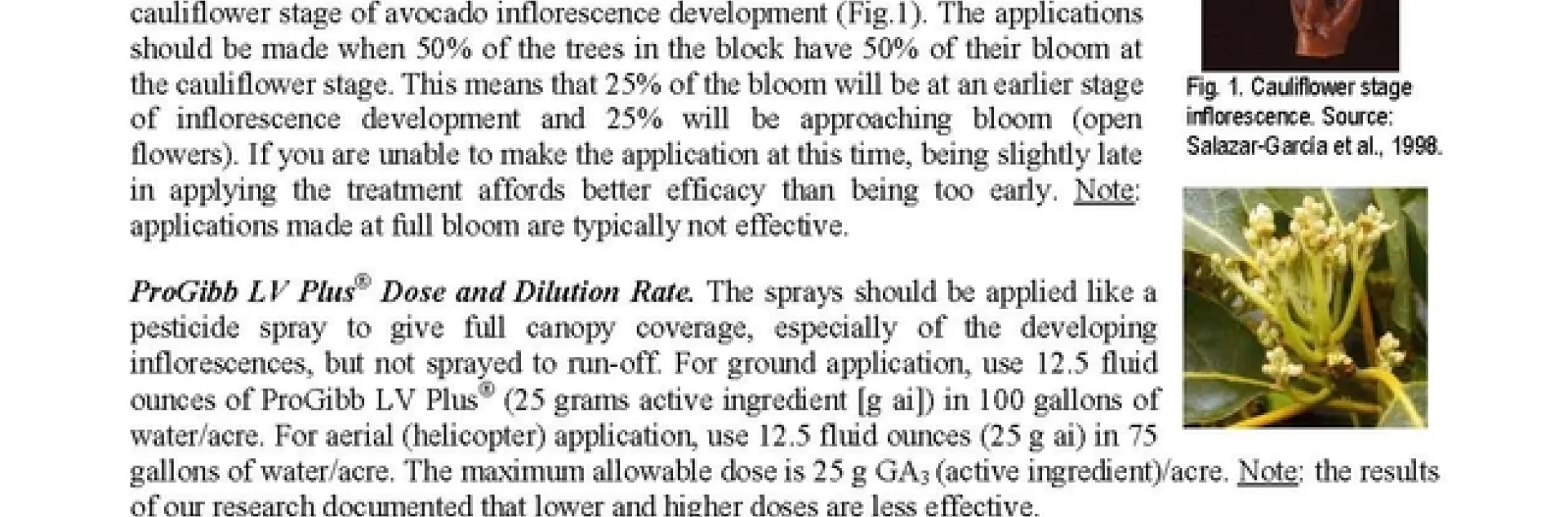 Lovatt - gibb spray CAC Grower Education Feb 5-7 2019 Handout GA3 to increase yield