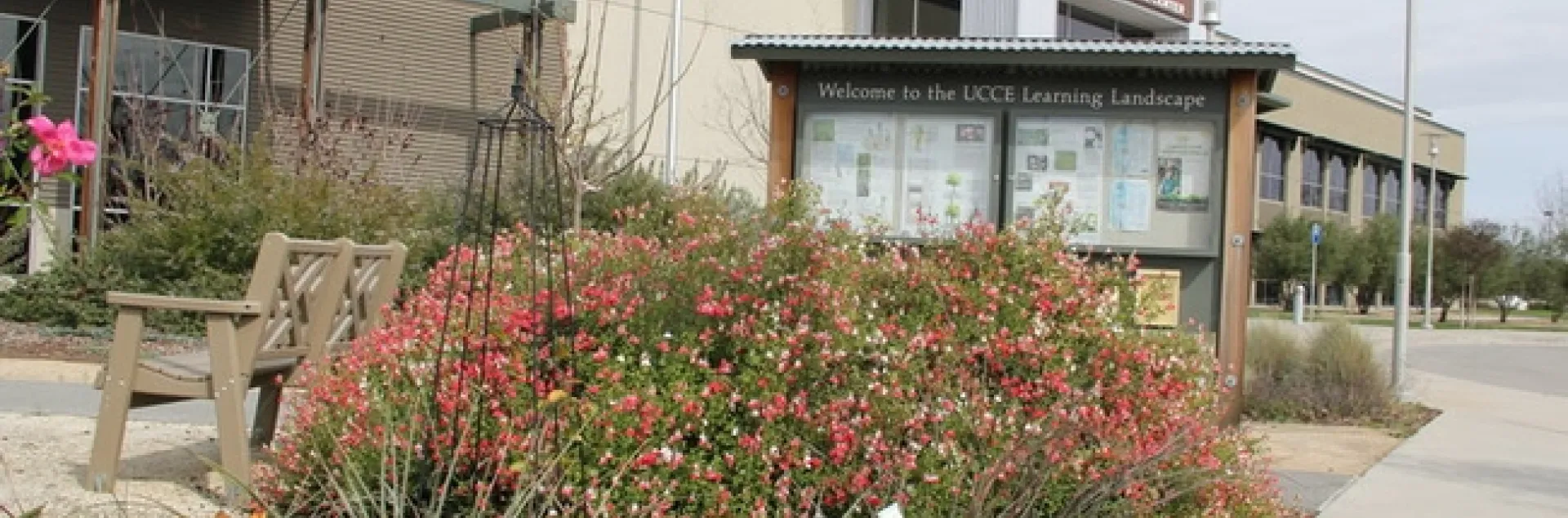 The 'Learning Landscape' at the UCCE office in San Joaquin County is maintained by UC Master Gardeners.