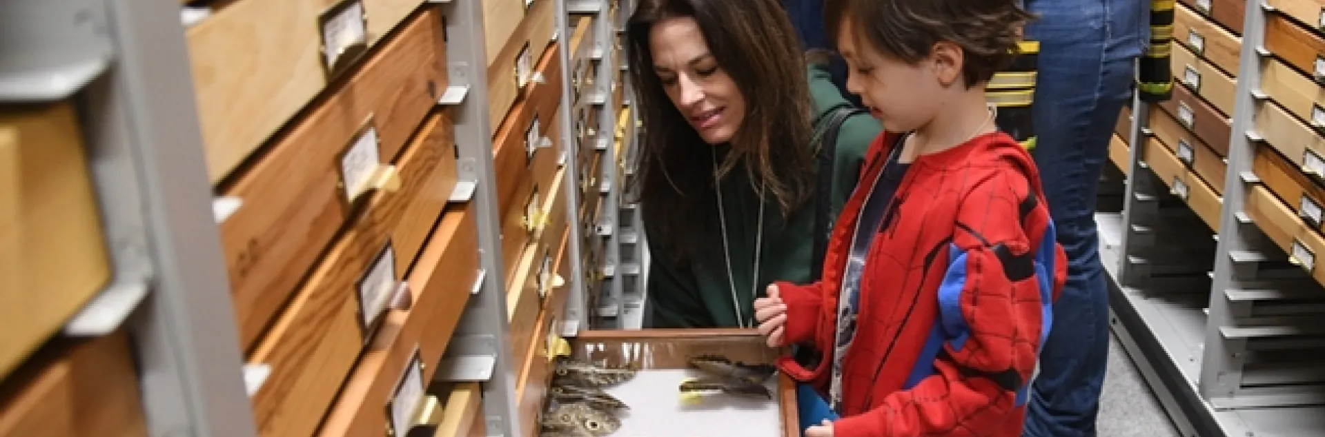 UC Davis employee Michele Belden shows her son, Cash, 5, some of the butterflies in the Bohart Museum of Entomology. Belden manages the Aggie Surplus, formerly Bargain Barn, on campus. (Photo by Kathy Keatley Garvey)