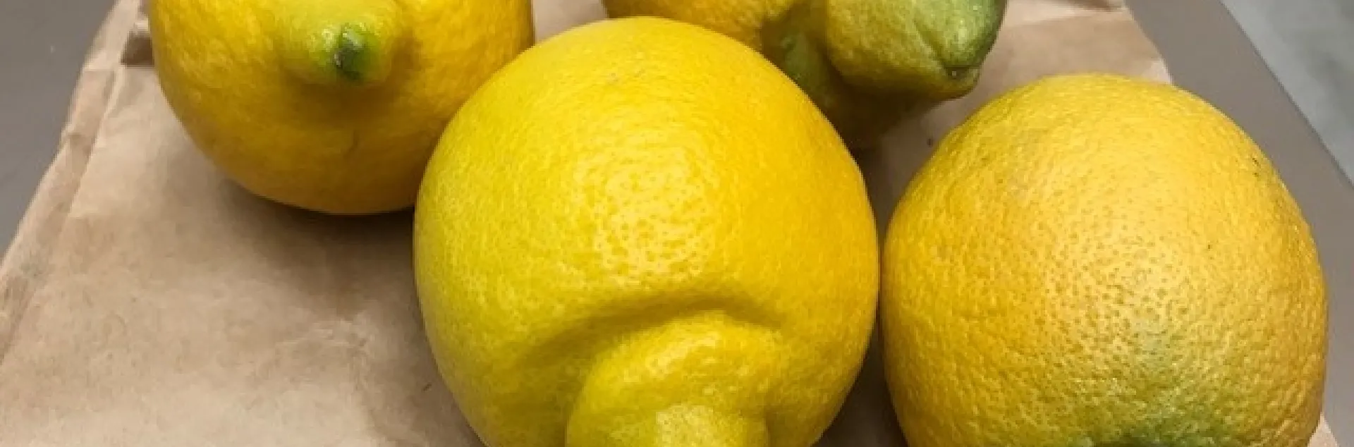 lemon valley nipples