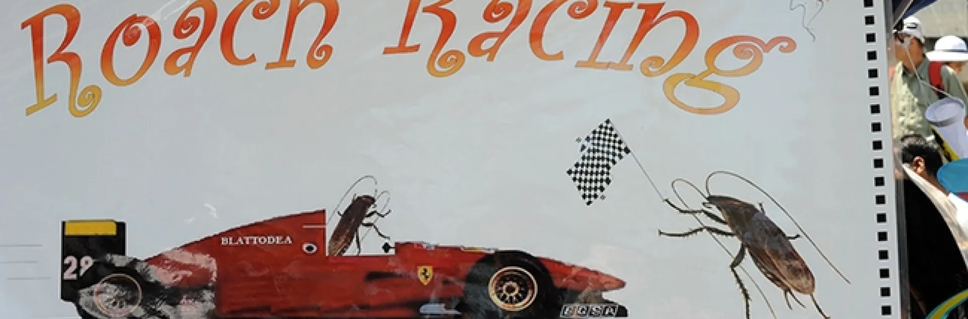 Have roach, will race! Don't miss the cockroach races at Briggs Hall during the 105th annual UC Davis Picnic Day. (Photo by Kathy Keatley Garvey)