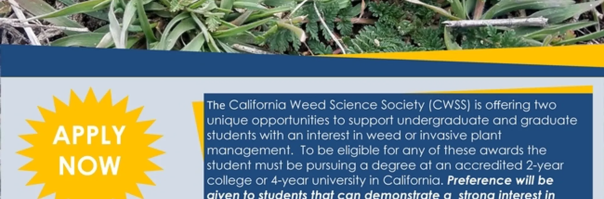 2019 CWSS Scholarship awards