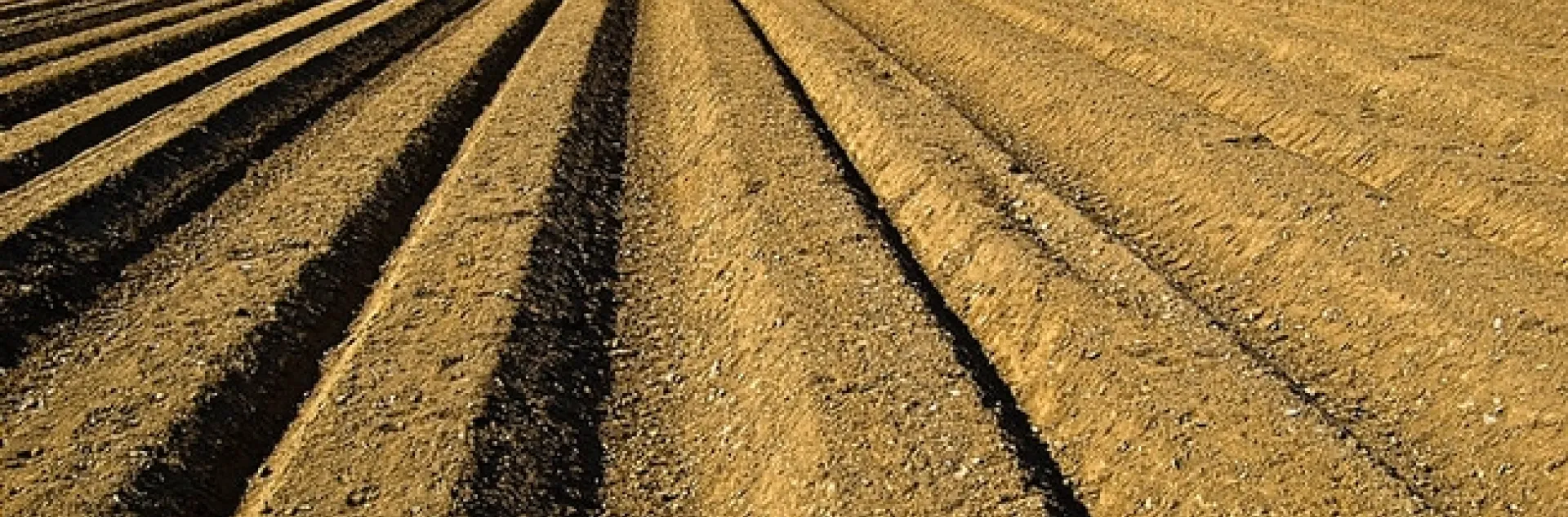 photo-1450294655903-4489dd7ad3a5