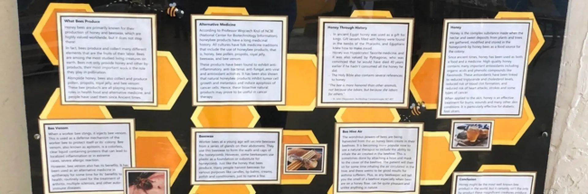 Dixon 4-H'er Ryan Anenson of the Tremont 4-H Club created this award-winning educational display, "None of Your Beeswax" for the Dixon May Fair. (Photo by Kathy Keatley Garvey)