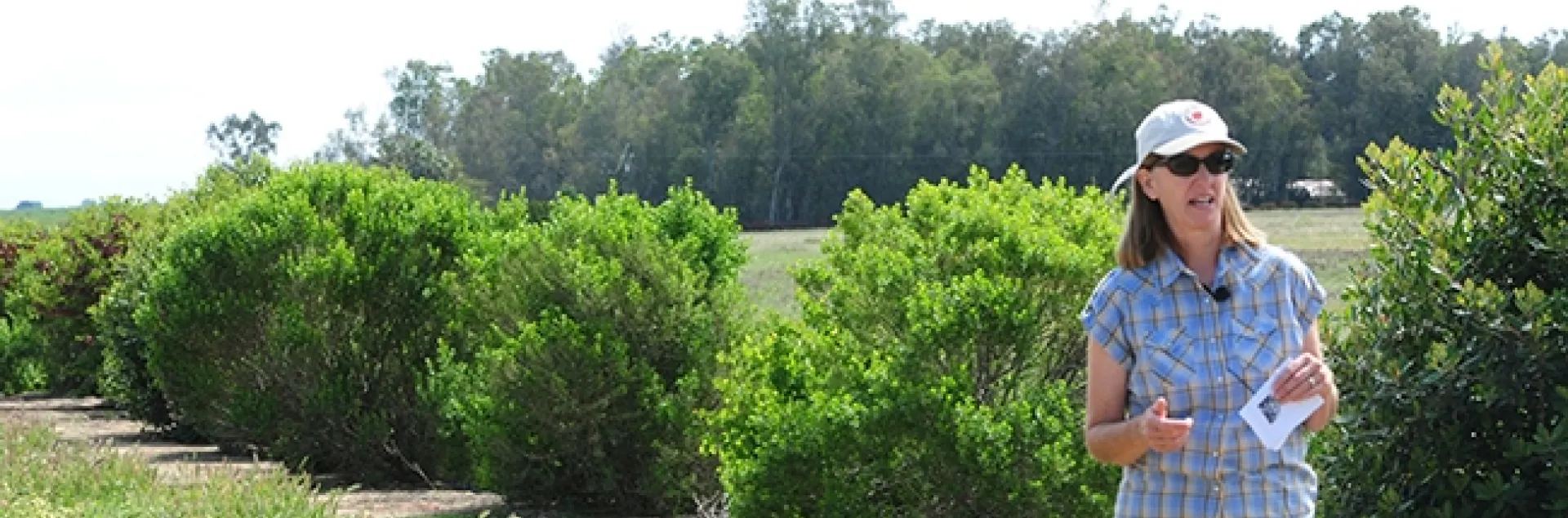 Rachael Long, UCCE farm advisor, leads a tour of her family farm in Yolo County in April of 2015. "Hedgerows are important for enhancing beneficial insects, including bees and natural enemies, for better biocontrol and crop pollination in adjacent field crops, with measurable economic benefits," she says. (Photo by Kathy Keatley Garvey)