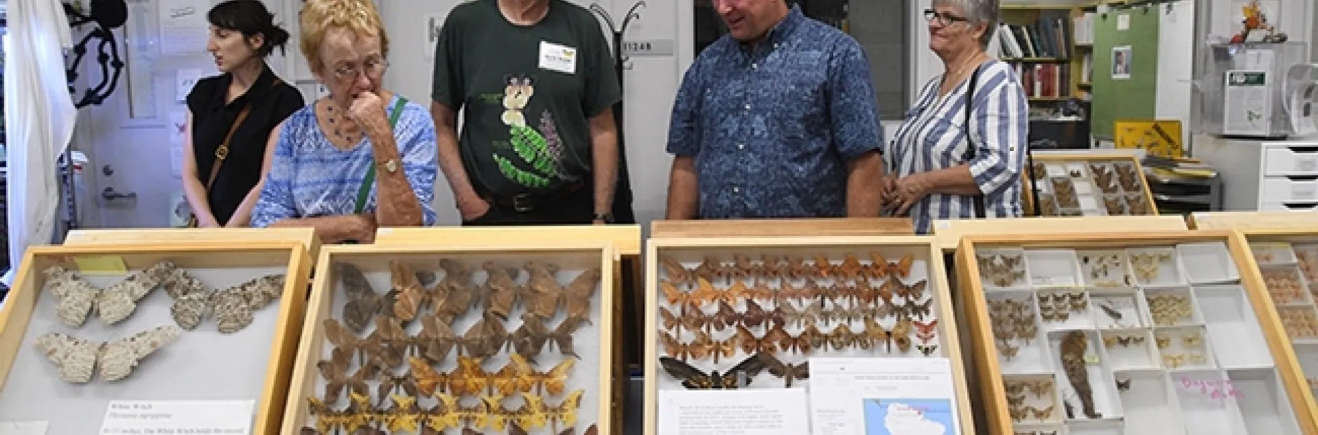 Entomologist Norm Smith (center) answers questions about moths at the Bohart Museum of Entomology's Moth Night. (Photo by Kathy Keatley Garvey)