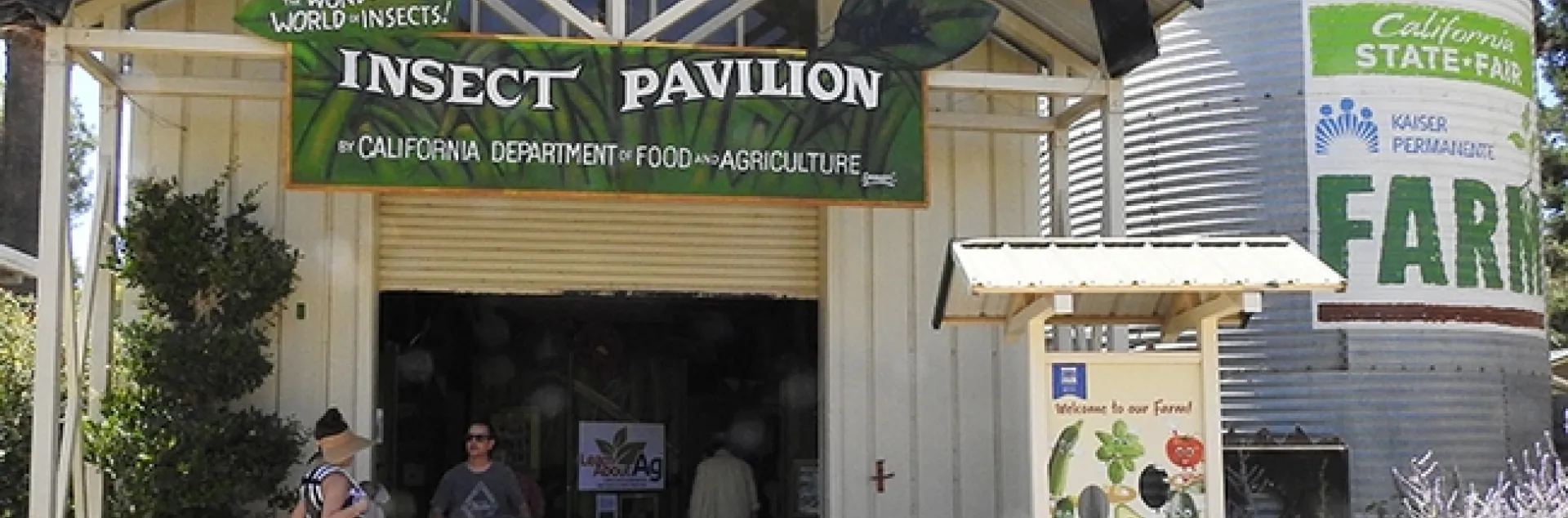 The California State Fair's Insect Pavilion is home to multiple displays borrowed from the Bohart Museum of Entomology, UC Davis. (Photo by Kathy Keatley Garvey)