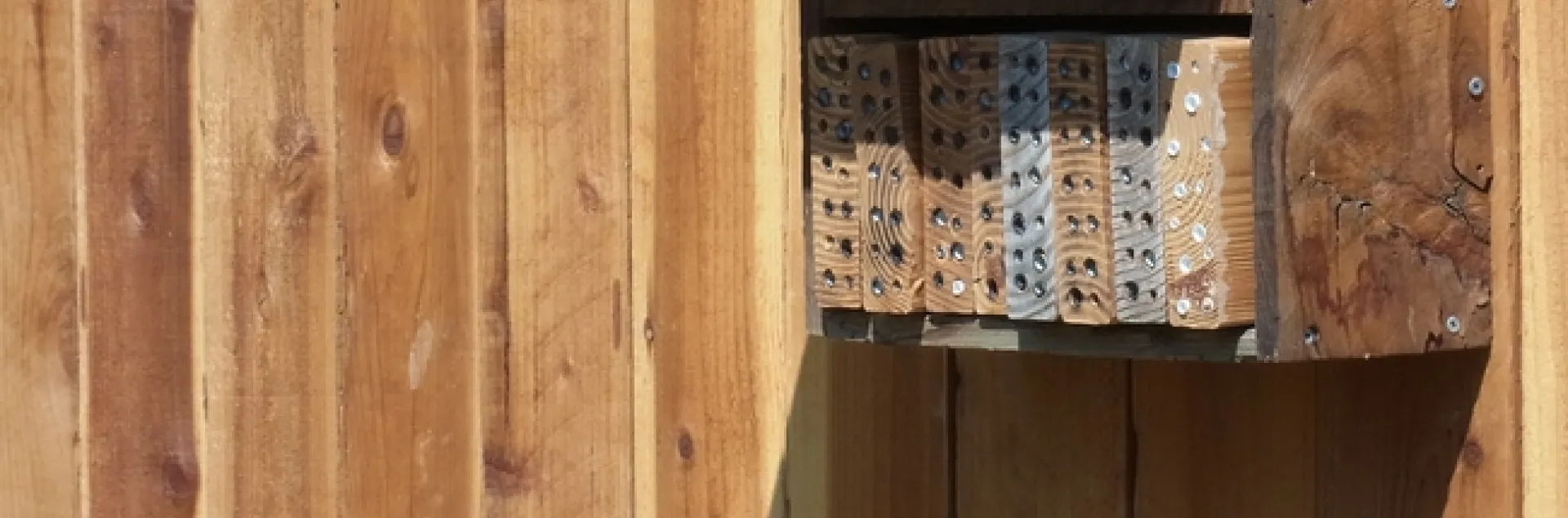 Bee nesting blocks on a fence