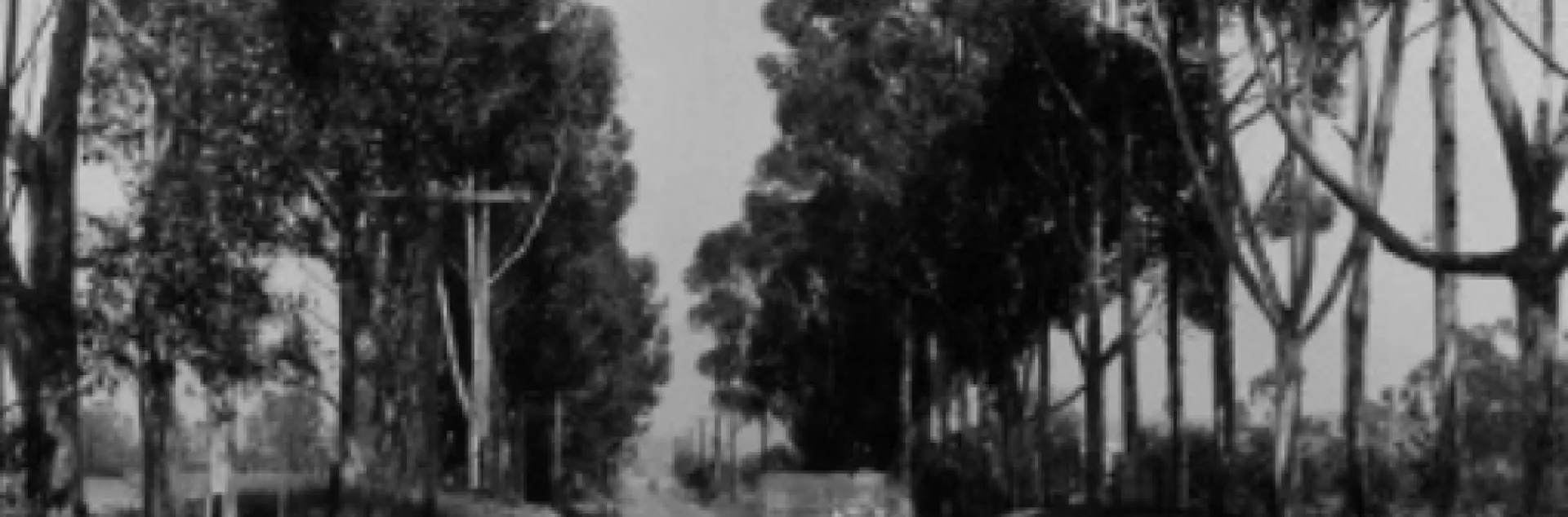 eucaplyptus drive 1930 Hogg, Auto Club C. CA