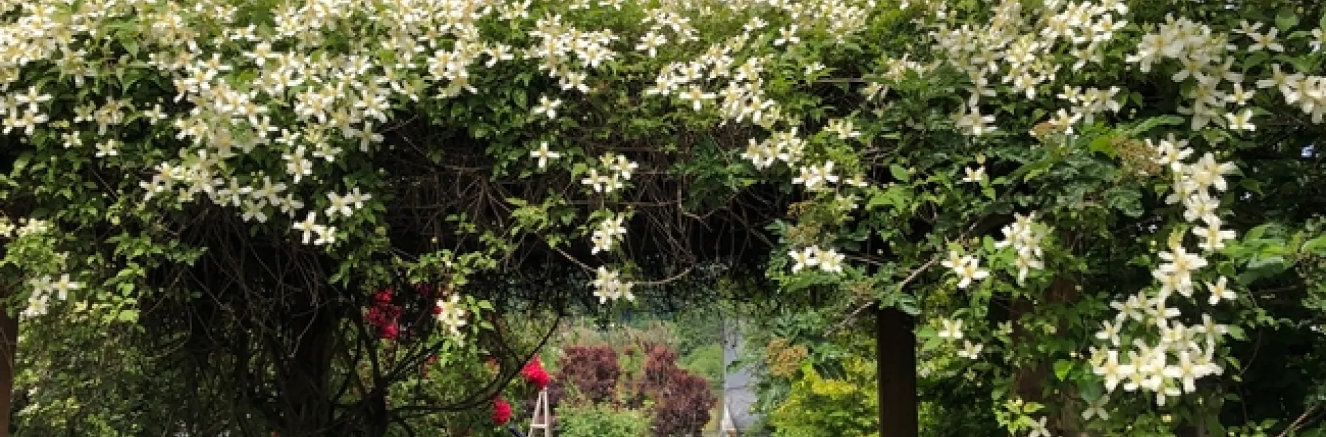 photos by Erin Mahaney