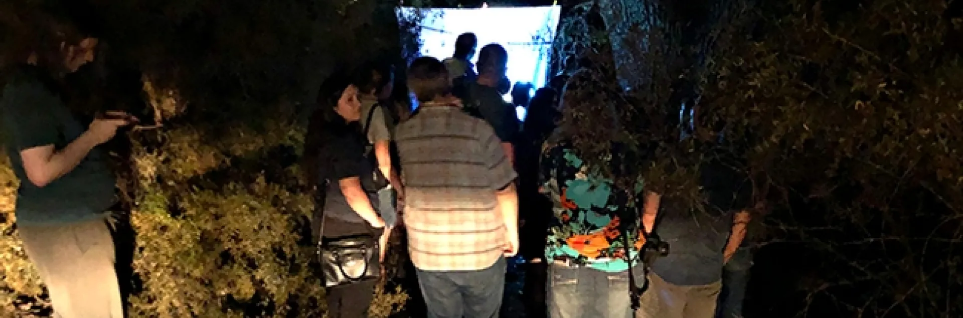 Visitors gather at the blacklighting display just outside the Bohart Museum of Entomology. (Photo by Kathy Keatley Garvey)