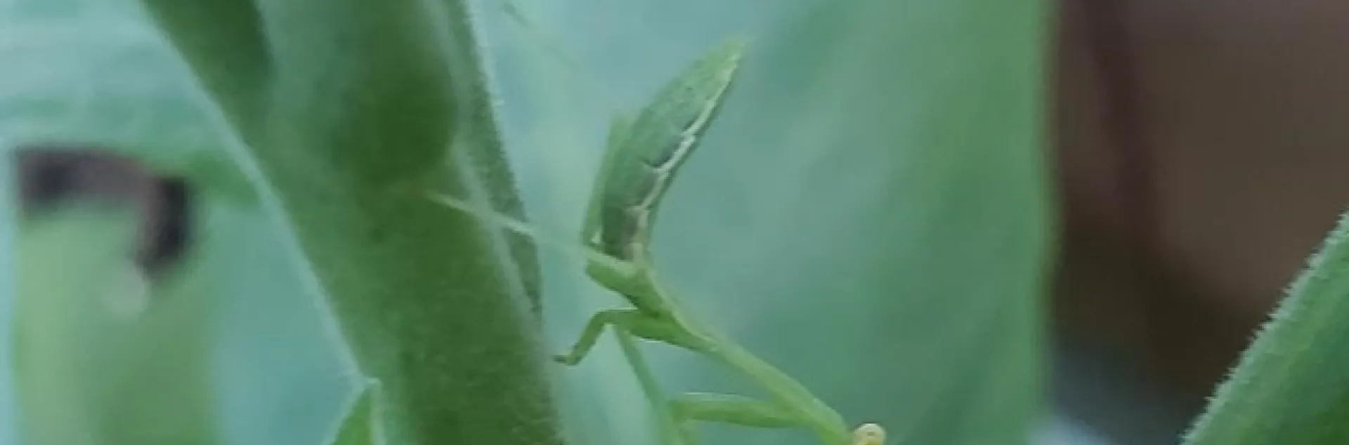 photos by Paula Pashby