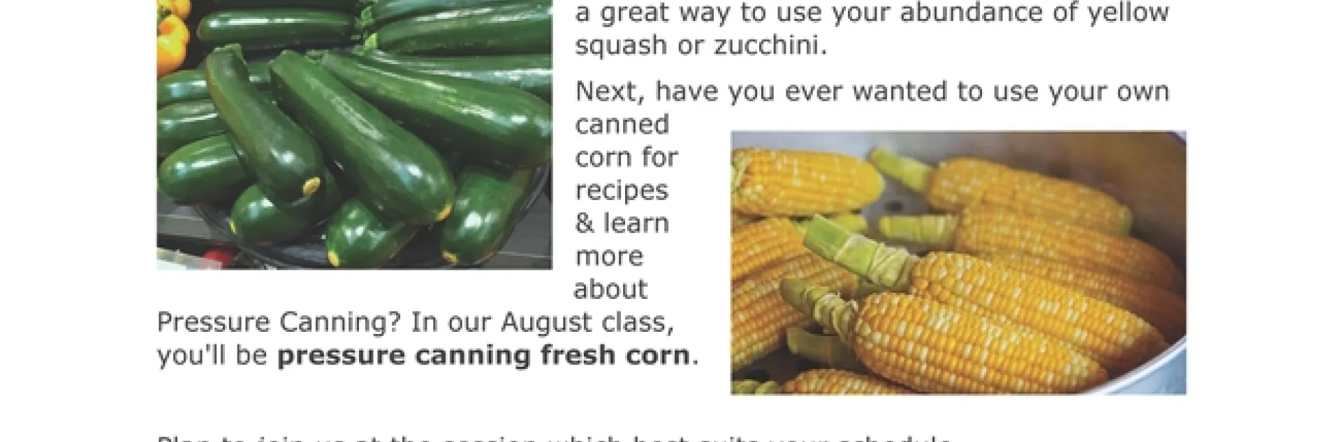 Preserving the Season's Summer Crops