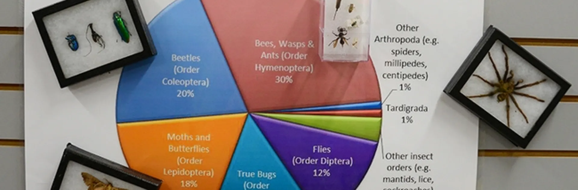 What's in the Bohart Museum of Entomology? A sign tells all. (Photo by Kathy Keatley Garvey)