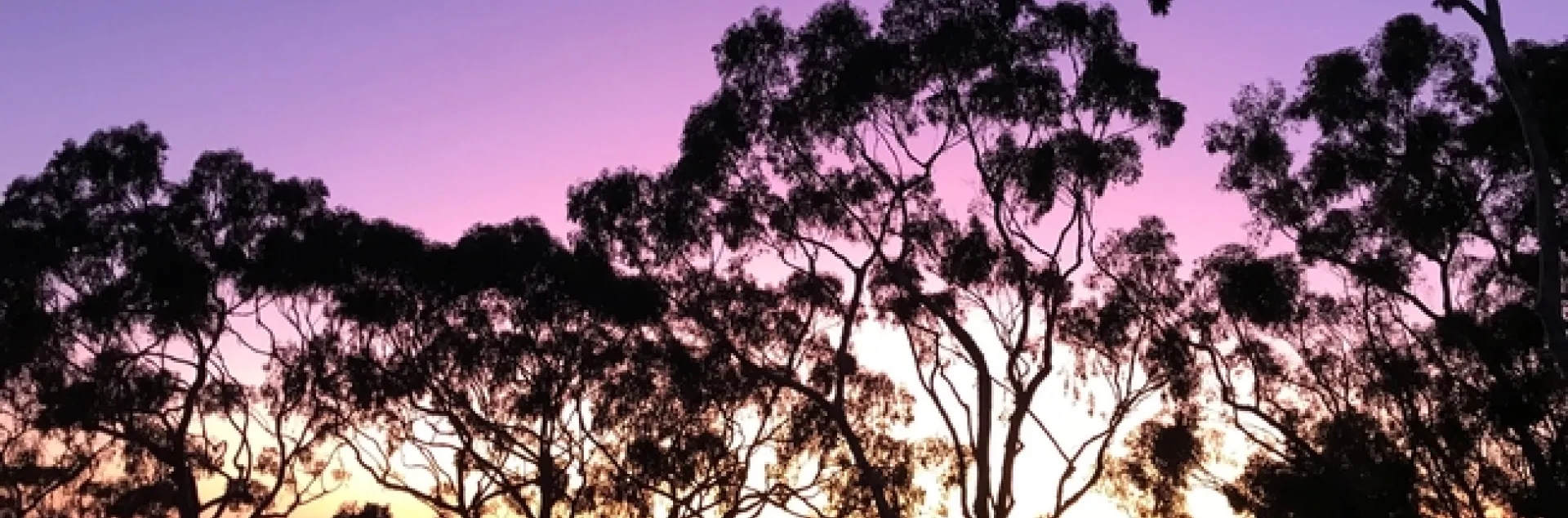 San Diego sunset. Photo courtesy of Mark Bell.