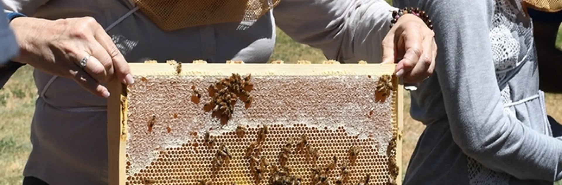 A student in the UC Davis class, "Planning Ahead for Your First Hive," holds a frame. (Photo by Kathy Keatley Garvey)