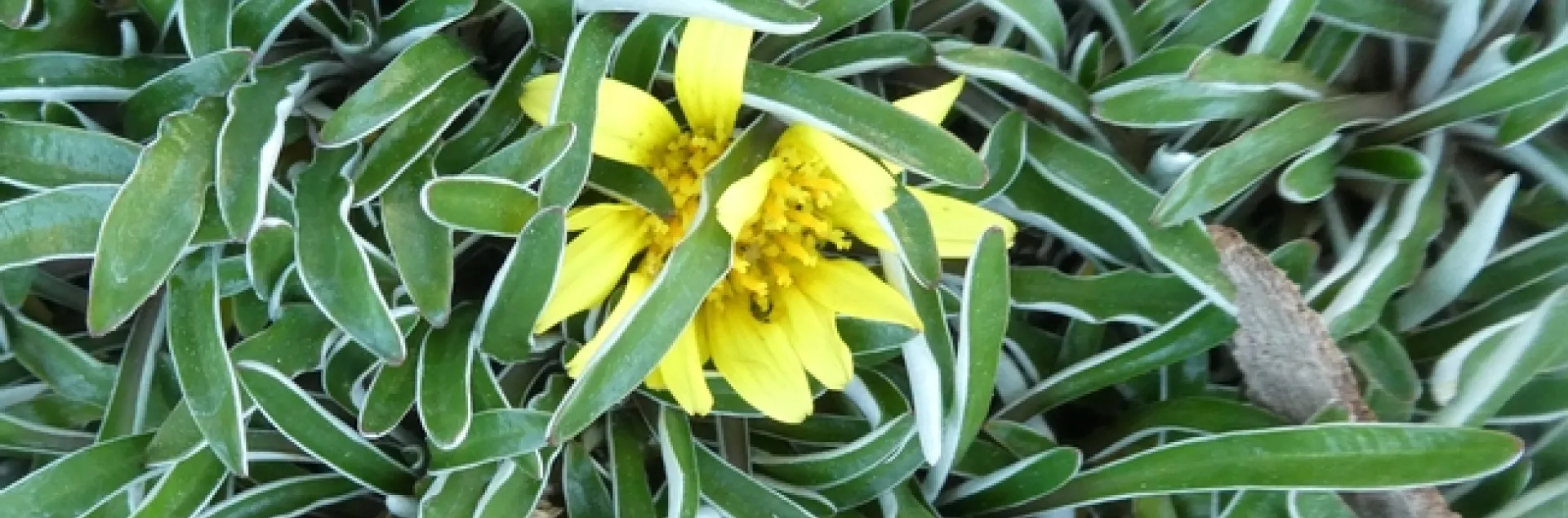 photos by Launa Herrmann