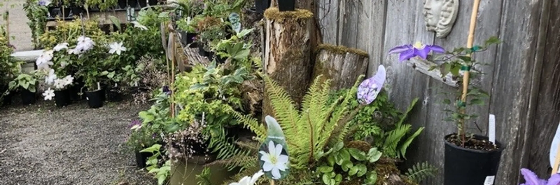 Joy Creek Nursery (photos by Erin Mahaney)