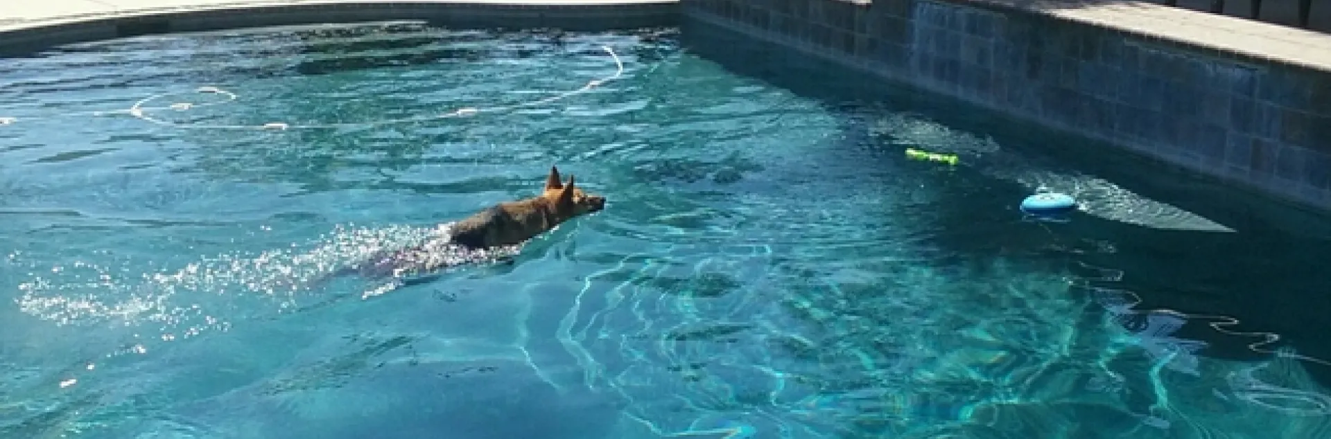 Sasha makes the most of the end of summer