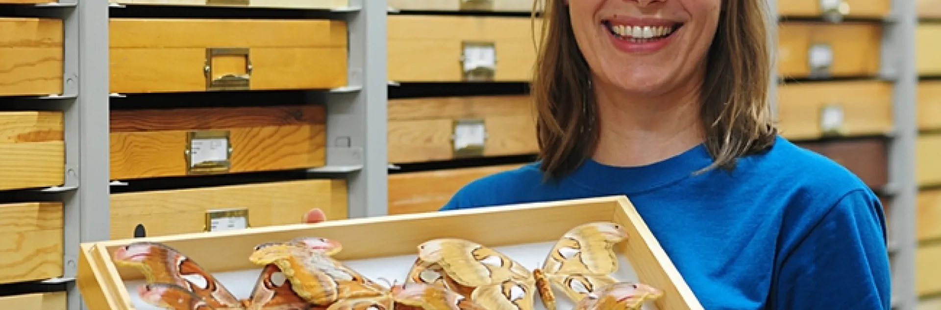 Jessica Gillung at Bohart Museum of Entomology (Photo by Kathy Keatley Garvey)