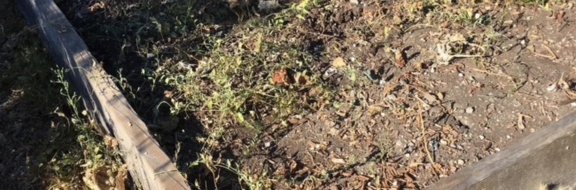 photos by Stan Zervas