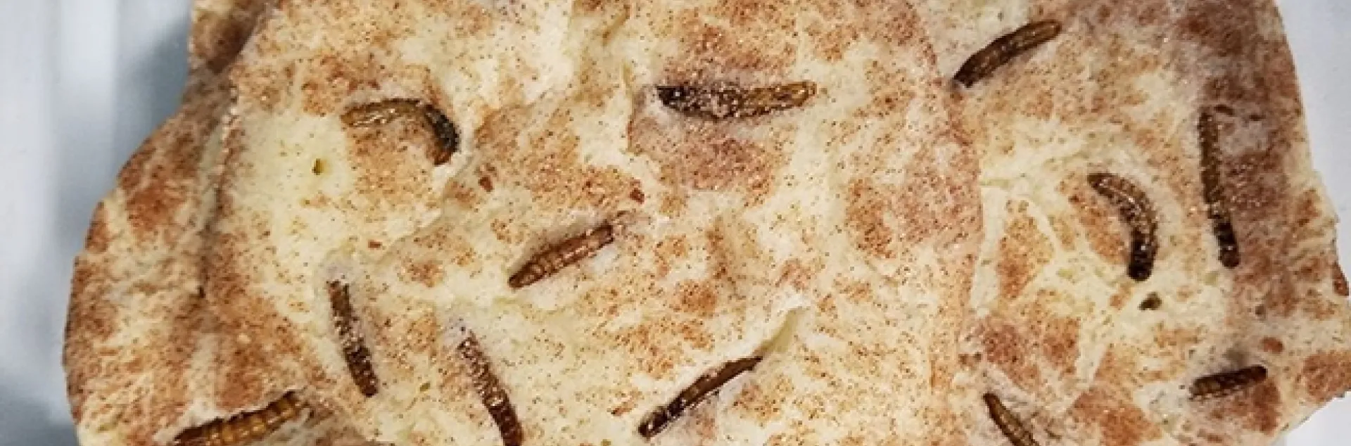 Make a meal out of mealworms? Danielle Wishon baked these mealworm cookies. Yes, they were good. (Photo by Danielle Wishon)