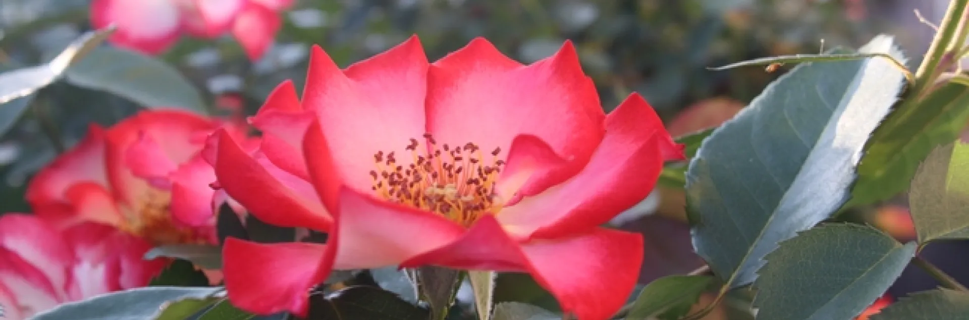 photo by Jennifer Baumbach