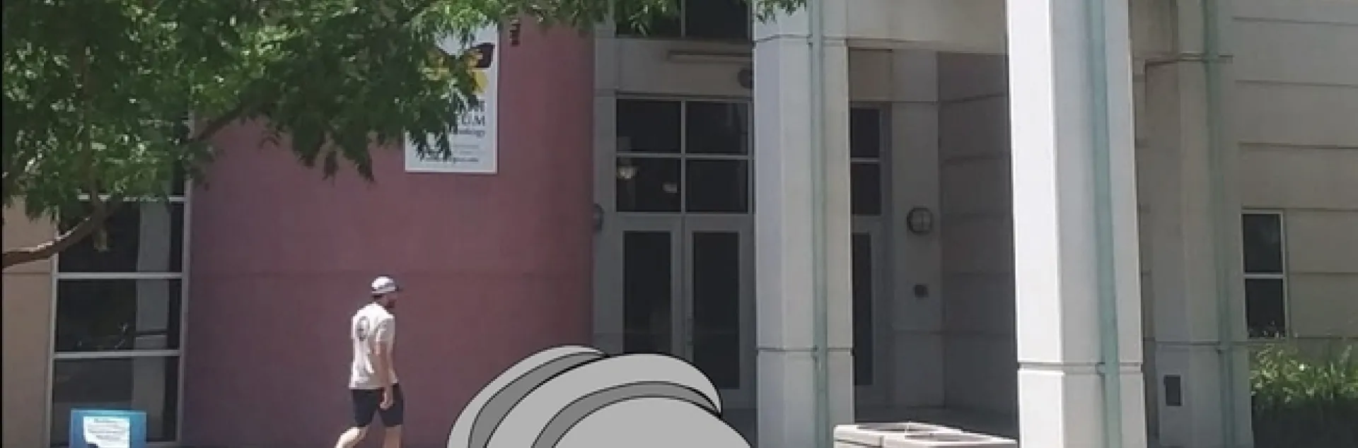 An artist's sketch of the proposed tardigrade sculpture in front of the Bohart Museum of Entomology.