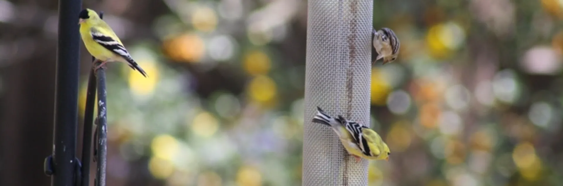 photo by Jennifer Baumbach