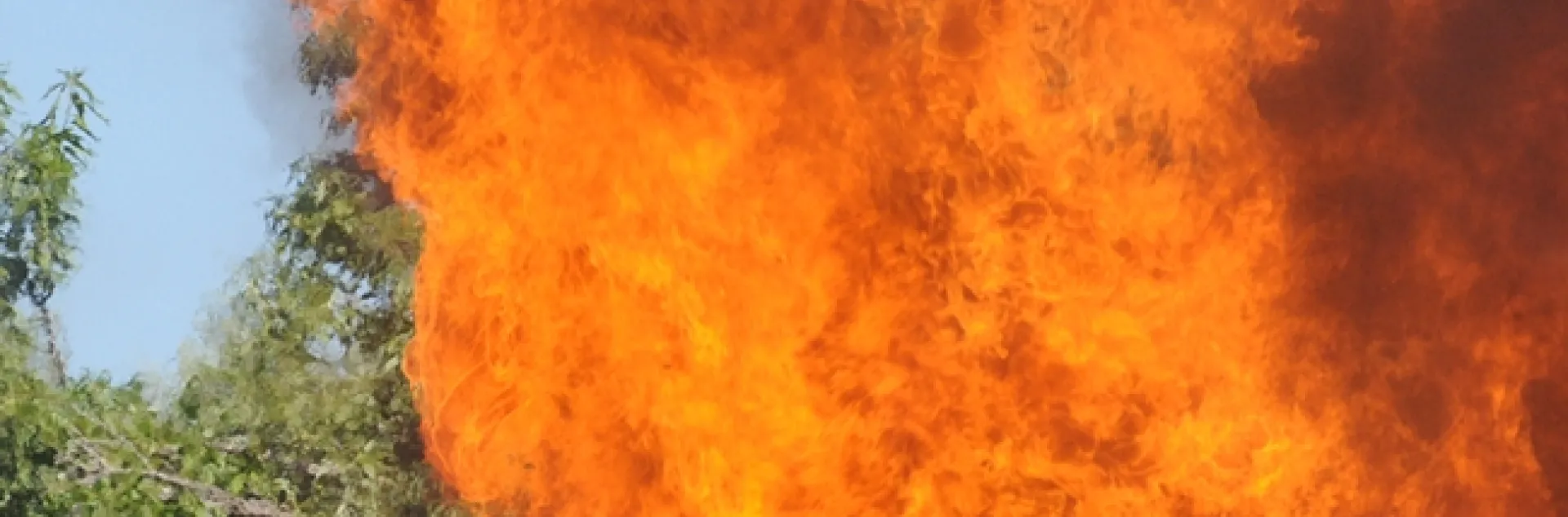 In reviewing the 117 studies, published in 68 different journals dating from 1979 to 2018 and encompassing 45 countries, the authors identified patterns of mainly negative impacts to pollinators and pollination from flooding, drought, and extreme heat. This image of a fire was taken in Davis. (Photo by Kathy Keatley Garvey)